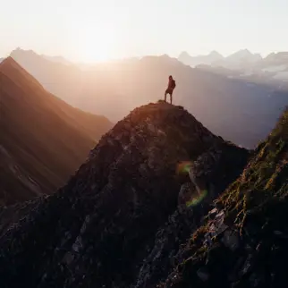 Cambrian Still 45 (Groß)