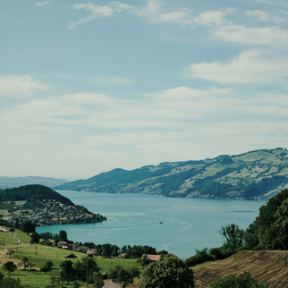 Lake Thun View