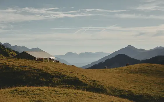 Adelboden Bike 0725 ©Peterbender 954