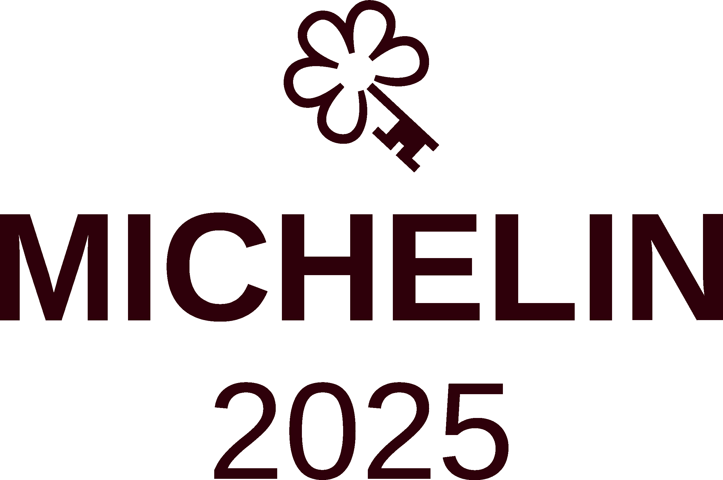 MICHELIN 1 Key